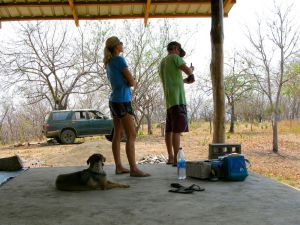 bodega varnish scene